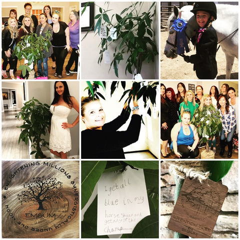 Intention & Money Trees By EMSUM Designs